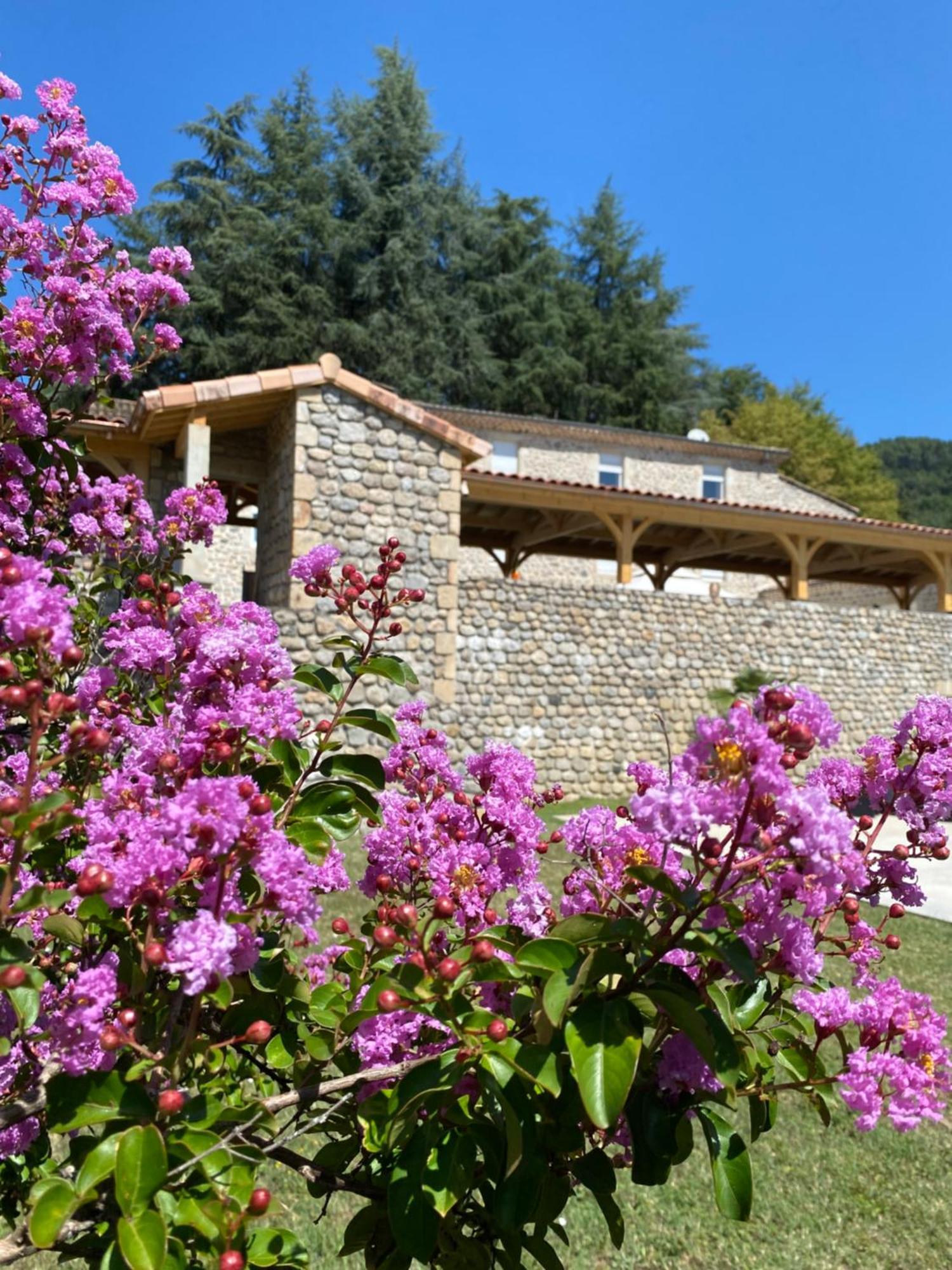 Domaine Les Buis Bed & Breakfast Saint-Fortunat-sur-Eyrieux Exterior photo